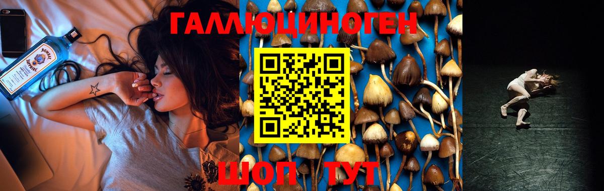 Галлюциногенные грибы мицелий  Вход с VPN  Северск 
